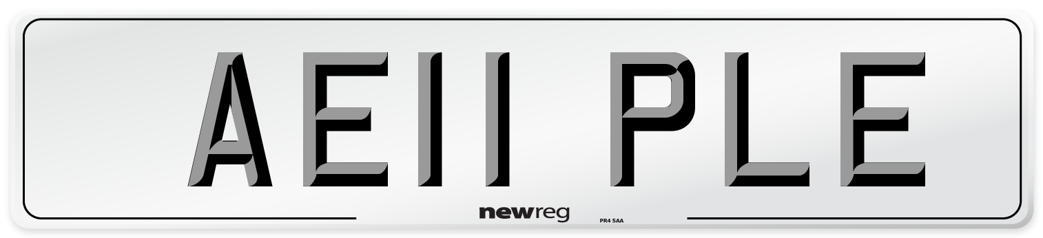 AE11 PLE Number Plate from New Reg